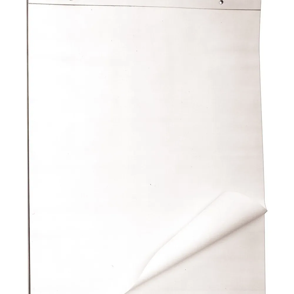 Easel Paper Pads*AbilityOne Easel Pad, 27" x 34", Lined, 50 Sheets/Pad (7530-01-398-266)