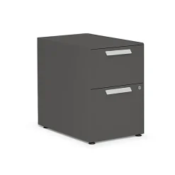 File Cabinets*Allsteel Radii 2-Drawer Mobile Vertical File Cabinet, Letter/Legal Size, Lockable, 21"H x 15"W x 24"D, Flint (APGMBP249TFN001)