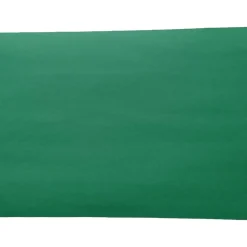 Construction Paper*American Paper 12" x 18" Construction Paper, Holiday Green, 50 Sheets/Pack (CP12HGR)