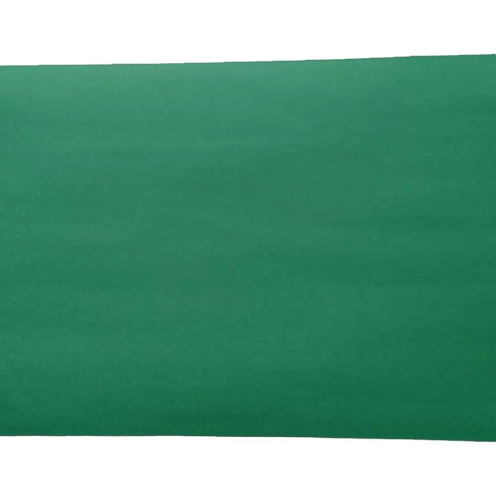 Construction Paper*American Paper 12" x 18" Construction Paper, Holiday Green, 50 Sheets/Pack (CP12HGR)