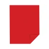 Card Stock*Astrobrights 65 lb. Cardstock Paper, 8.5" x 11", Re-Entry Red, 250 Sheets/Pack (22751)