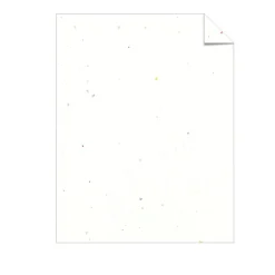 Card Stock*Astrobrights 65 lb. Cardstock Paper, 8.5" x 11", Stardust White, 250 Sheets/Pack (21408/22401)