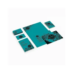 Card Stock*Astrobrights 65 lb. Cardstock Paper, 8.5