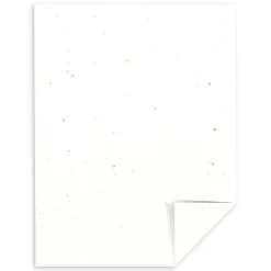 Multipurpose Paper*Astrobrights 8.5