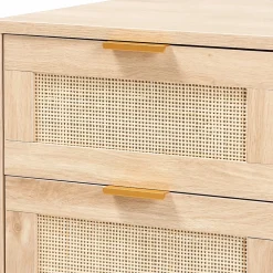 Storage Cabinets*Baxton Studio Baird 21.7