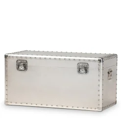 Storage Cabinets*Baxton Studio Serge 13.98" High Storage Trunk, Silver (160-10246-HiT)