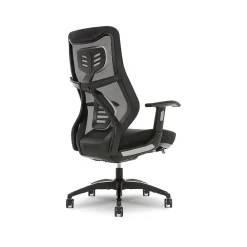 Ergonomic Chairs*Beautyrest Duo-EX Ergonomic Mesh Swivel Task Chair, /Gray (60051GRY) Black
