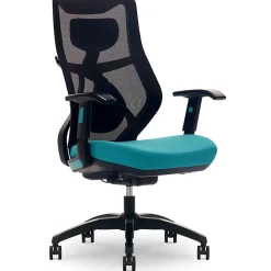 Ergonomic Chairs*Beautyrest Duo-EX Ergonomic Mesh Swivel Computer Chair, (60051-TEL) Teal