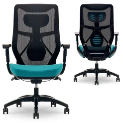 Ergonomic Chairs*Beautyrest Duo-EX Ergonomic Mesh Swivel Computer Chair, (60051-TEL) Teal