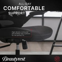 Ergonomic Chairs*Beautyrest ErgoMax Ergonomic Mesh Swivel Task Chair, (60078-BLK) Black