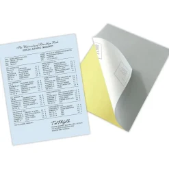 Security & Carbon*Blanks USA Kan't Kopy 8.5" x 11" Carbonless Security Paper, 20 lbs., Blue, 2500 Sheets/Carton (KC2CA1VBL)