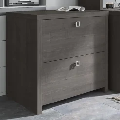 File Cabinets*Bush Business Furniture Echo 2 Drawer Lateral File Cabinet, Charcoal Maple (KI60302-03)