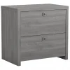 File Cabinets*Bush Business Furniture Echo 2 Drawer Lateral File Cabinet, Modern Gray (KI60402-03)