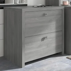 File Cabinets*Bush Business Furniture Echo 2 Drawer Lateral File Cabinet, Modern Gray (KI60402-03)