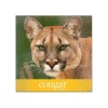 Card Stock*Domtar Cougar Digital 10% Recycled 8.5" x 11" Paper, 80 lbs., 98 Brightness, 250/Ream, 8 Reams/Carton (2986)