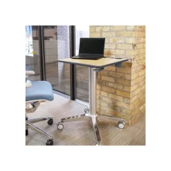 Standing Desks*Ergotron 29
