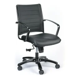 Office Chairs*Eurotech High Back Titanium Frame Leather Executive Chair, Black