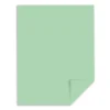 Card Stock*Exact 110 lb. Index Paper, 8.5" x 11", Green, 250 Sheets/Pack (WAU49561)