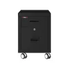 File Cabinets*FireKing 2-Drawer Mobile Vertical File Cabinet, Letter/Legal Size, Lockable, Fire Resistant, Black (2M1822-1BL)