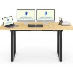 Standing Desks*FlexiSpot E7Q 78