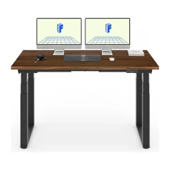 Standing Desks*FlexiSpot E7Q 60
