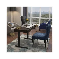 Standing Desks*FlexiSpot 48