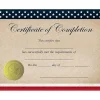 Awards & Certificates*Great Papers Patriotic Completion Certificates, 8.5" x 11", Multicolor, 25/Count (2015075)