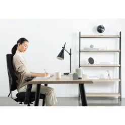 Office Chairs*Gry Mattr + ergoCentric airCentric3 Task Chair, Standard Seat, Black (AIR3ST)