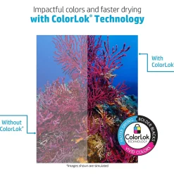 Large Quantity Paper*HP BrightWhite24 8.5