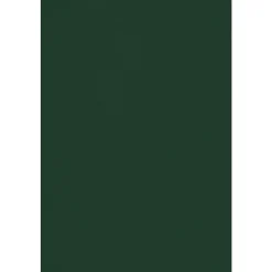 Card Stock*JAM Paper 12" x 18" Cardstock, Green Linen, 50/pack (1218-C-GNLI-50)