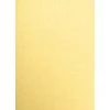 Card Stock*JAM Paper 13" x 19" Cardstock, Gold Metallic, 50/pack (1319-C-M40-50)