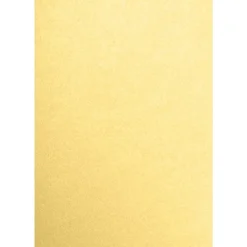 Card Stock*JAM Paper 13" x 19" Cardstock, Gold Metallic, 50/pack (1319-C-M40-50)