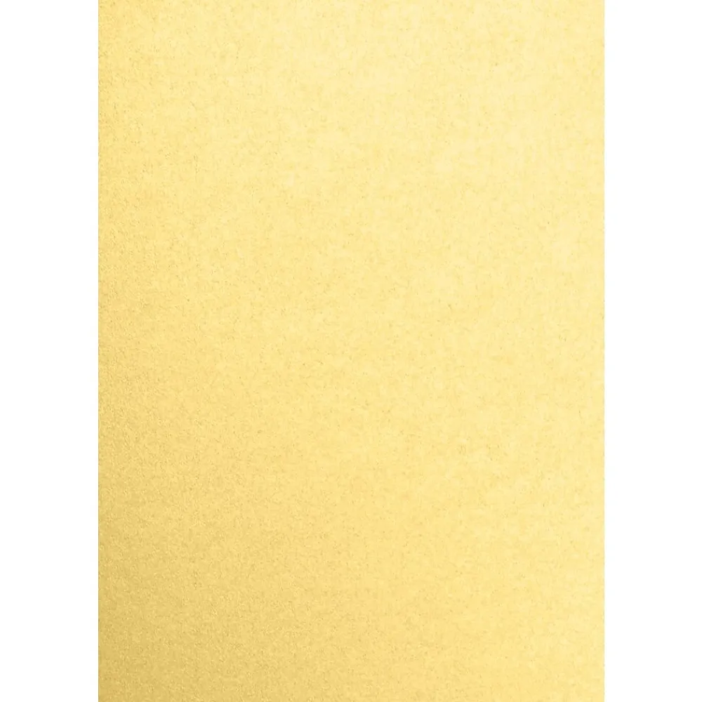 Card Stock*JAM Paper 13" x 19" Cardstock, Gold Metallic, 50/pack (1319-C-M40-50)