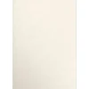 Multipurpose Paper*JAM Paper 13" x 19" Color Multipurpose Paper, 80 lbs., Champagne Metallic, 50 Sheets/Ream (1319-P-CHAM-50)