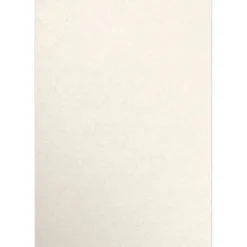 Multipurpose Paper*JAM Paper 13" x 19" Color Multipurpose Paper, 80 lbs., Champagne Metallic, 50 Sheets/Ream (1319-P-CHAM-50)
