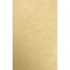 Multipurpose Paper*JAM Paper 8.5" x 14" Color Multipurpose Paper, 80 lbs., Blonde Metallic, 50 Sheets/Ream (81214-P-BLON-50)