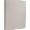 Multipurpose Paper*JAM Paper 8.5" x 11" Color Multipurpose Paper, 28 lbs., Light Grey, 500 Sheets/Ream (64432380B)