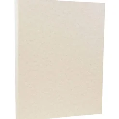 Card Stock*JAM Paper 8.5" x 11" Parchment Cardstock, 65lb, Pewter Silver, 100/pack (96600800G)