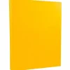Card Stock*JAM Paper 8.5" x 11" Vellum Bristol Cardstock, 67lb, Goldenrod, 100/pack (169825G)