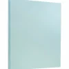Card Stock*JAM Paper 8.5" x 11" Vellum Bristol Cardstock, 110lb, Blue, 100/pack (216916789G)