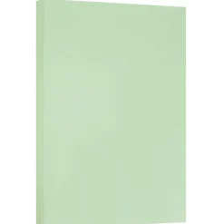 Card Stock*JAM Paper ® Extra Heavy Weight 110lb Cardstock, 11 x 17 Tabloid Coverstock, Green, 50 Sheets/Pack (16932843)