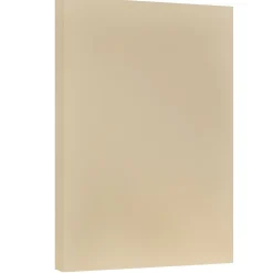 Card Stock*JAM Paper Vellum Bristol Cardstock Paper, 67 lbs., 11" x 17", Tan, 50 Sheets/Pack (16932840)