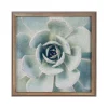 Bulletin*Kate & Laurel F2 Images Succulent 7 Cork Bulletin Board, Gold Frame, 1' x 1' (222048)