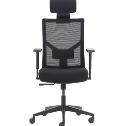 Ergonomic Chairs*La-Z-Boy Ergonomic Mesh Swivel Task Chair, (60021) Black