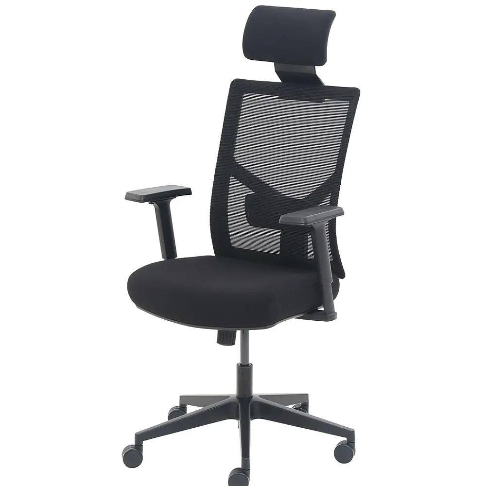 Ergonomic Chairs*La-Z-Boy Ergonomic Mesh Swivel Task Chair, (60021) Black