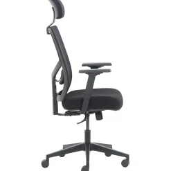 Ergonomic Chairs*La-Z-Boy Ergonomic Mesh Swivel Task Chair, (60021) Black