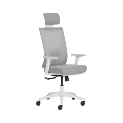 Ergonomic Chairs*La-Z-Boy Joel Ergonomic Mesh Swivel Executive Chair, Gray/White (60065) Gray Fabric