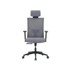 Ergonomic Chairs*La-Z-Boy Mesh Back Molded Foam Computer and Desk Chair, Gray (51448) Gray/White