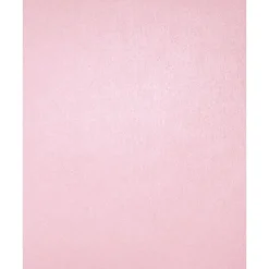 Card Stock*LUX 105 lb. Cardstock Paper, 13" x 19", Rose Quartz, 250 Sheets/Pack (1319-C-M75-250)