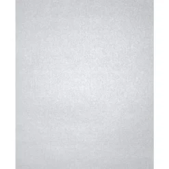 Card Stock*LUX 105 lb. Cardstock Paper, 8.5" x 11", Silver Metallic, 1000 Sheets/Pack (81211-C-78-1000)